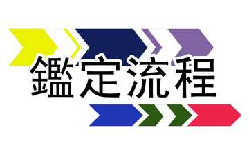 新制身心障礙鑑定流程